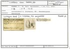 Karteikarte zum Lectotyp von Cristellaria sinus Karrer, 1870